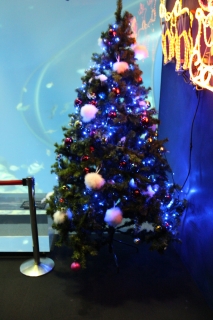 アクアワールド・クリスマス2011